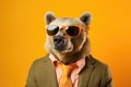 Portrait Bear With Sunglasses Orange Background