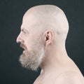 Portrait of a bearded and bald man in profile Royalty Free Stock Photo