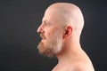 Portrait of a bearded and bald man in profile Royalty Free Stock Photo