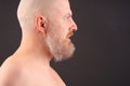 Portrait of a bearded and bald man in profile Royalty Free Stock Photo