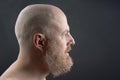 Portrait of a bearded and bald man in profile Royalty Free Stock Photo