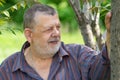 Portrait of bearded Caucasian senior man standing under tree Royalty Free Stock Photo