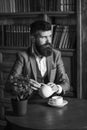 Portrait of bearded man drinking tea in vintage library. Royalty Free Stock Photo