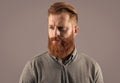 Portrait of bearded man. Irish man with unshaven face. Serious man with red beard studio Royalty Free Stock Photo