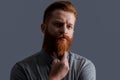 Portrait of bearded man stroking beard. Unshaven man with serious face. Irish man studio Royalty Free Stock Photo