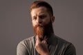 Portrait of bearded man stroking beard. Unshaven man with serious face. Irish man studio Royalty Free Stock Photo