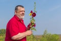 Portrait of bearded senior man forming bunch of wild flowers Royalty Free Stock Photo