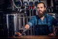 Portrait of a bearded tattooed hipster male in a jeans shirt and apron working in a brewery factory, standing behind a Royalty Free Stock Photo