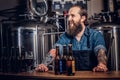 Portrait of a bearded tattooed hipster male in a jeans shirt and apron working in a brewery factory, standing behind a Royalty Free Stock Photo