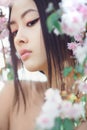 Portrait of a beautiful asian girl outdoors against spring blossom tree. Royalty Free Stock Photo