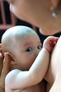 Newborn baby with cute expression is sucking mother`s breast and touching her with soft hand, hungry infant breastfeeding close up Royalty Free Stock Photo