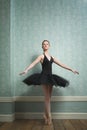 Beautiful Ballerina in Dance Pose