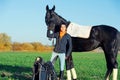 Portrait of beautiful black horse  with his owner and rider  posing in green grass meadow. autumn season Royalty Free Stock Photo