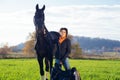 Portrait of beautiful black horse  with his owner and rider  posing in green grass meadow. autumn season Royalty Free Stock Photo