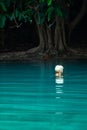 A portrait of beautiful blonde woman relaxing in the emerald pool in tropical forest. Sra Morakot, Krabi, Thailand Royalty Free Stock Photo