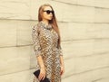 Portrait of beautiful blonde young woman model wearing leopard dress, handbag clutch and sunglasses on wall background Royalty Free Stock Photo