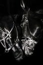 Portrait of beautiful breed horses posing together at black background Royalty Free Stock Photo