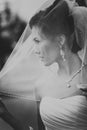 Portrait of a Beautiful Bride Close up glowing from the sun light Royalty Free Stock Photo