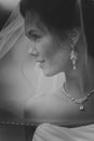 Portrait of a Beautiful Bride Close up glowing from the sun light Royalty Free Stock Photo