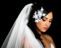 Portrait of the beautiful bride on vail Royalty Free Stock Photo