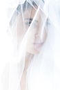 Portrait of beautiful bride in veil Royalty Free Stock Photo