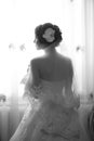 Portrait of beautiful bride. Wedding dress. Wedding decoration Royalty Free Stock Photo