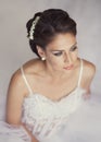 Portrait of beautiful bride. Wedding dress and decoration Royalty Free Stock Photo