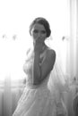 Portrait of beautiful bride. Wedding dress. Wedding decoration Royalty Free Stock Photo