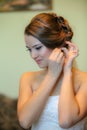 Portrait of beautiful bride. Wedding dress. Wedding decoration Royalty Free Stock Photo