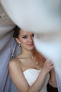 Portrait of beautiful bride. Wedding dress. Wedding decoration Royalty Free Stock Photo