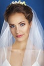 Portrait of beautiful bride. Wedding dress.Young Gentle Quiet Bride in Classic White Veil Looking Away.Marriage Wedding