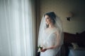 Portrait of the beautiful bride in the white dress Royalty Free Stock Photo