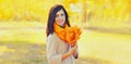 Portrait of beautiful brunette smiling woman wearing scarf with yellow maple leaves in autumn park Royalty Free Stock Photo