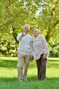 Beautiful caucasian senior couple walking in park Royalty Free Stock Photo