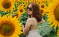 Portrait of a beautiful, cute, sexy red-haired girl in a white dress and glasses. Walks in the sunflowers. Emotion of pleasure, Royalty Free Stock Photo