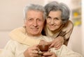 Elderly couple with cup of tea Royalty Free Stock Photo