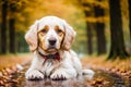 Portrait of a beautiful English Setter dog in the park. Generative AI