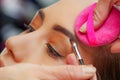 Portrait of beautiful face of young woman getting make-up. The artist is applying eyeshadow on her eyebrow using a brush Royalty Free Stock Photo