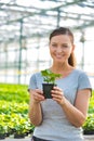 Beautiful female botanist holding seedling in plant nursery