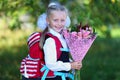 Portrait of a beautiful first-grader with a bouquet of flowers and a school bag. day of knowledge.