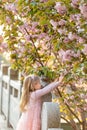 Portrait of beautiful girl with blooming flowers. Cherry blossom. Little caucasian girl with long blonde hair standing in the park Royalty Free Stock Photo