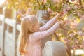 Portrait of beautiful girl with blooming flowers. Cherry blossom. Little caucasian girl with long blonde hair standing in the park Royalty Free Stock Photo