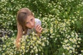 Portrait of a beautiful girl with blue eyes in a white dress sitting on a daisy flowers meadow Royalty Free Stock Photo