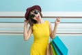 Portrait of beautiful girl wearing dress and sunglasses holding shopping bags Royalty Free Stock Photo