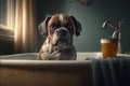 Adorable Boxer dog in a bath, vintage setting Royalty Free Stock Photo