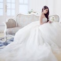 Portrait of beautiful laughing bride. Wedding dress with open back. Luxurious light interior Royalty Free Stock Photo