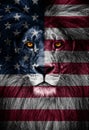 Portrait of a Beautiful lion, lion in dark. Portrait of a leader. king. Portrait of a lion with a projection of the flag Royalty Free Stock Photo