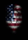 Portrait of a Beautiful lion, lion in dark. Portrait of a leader. king. Portrait of a lion with a projection of the flag Royalty Free Stock Photo