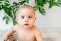 Portrait of a beautiful little baby boy, a child looking at the camera Royalty Free Stock Photo