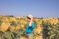 Portrait of beautiful little blond kid boy on summer sunflower field outdoors. Cute preschool child having fun on warm summer day Royalty Free Stock Photo